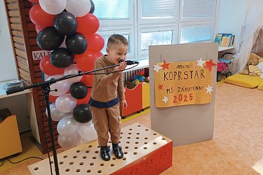 Obrázek č.74